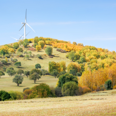 乌兰布统坝上秋色