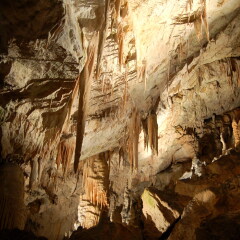 Postojna Cave (Slovenian: Postojnska jama; Italian: Grotte di Postumia) is a 20,570 m long Karst cave system near Postojna, Slovenia. 景点模块