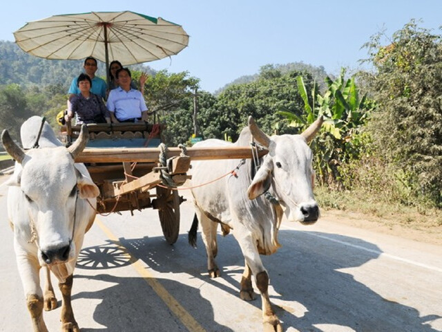  泰国清迈机票 当地4晚5日游>纯玩小团,双龙寺祈福,宁曼路泰式餐厅