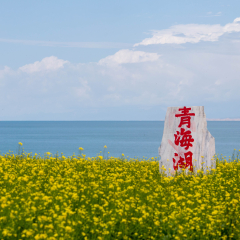 Every July, the shore of Qinghai Lake is full of rapeseed. The Chinese characters in the photo mean the Qinghai Lake.