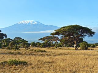安博塞利国家公园
