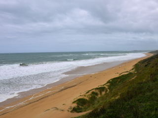 洛根斯海滩观鲸台