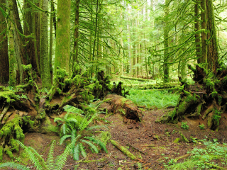 麦克米伦省级公园