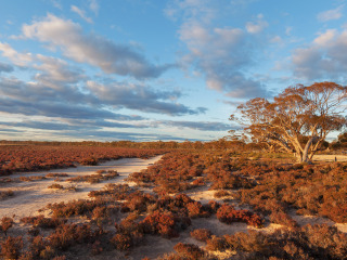 墨累日落国家公园