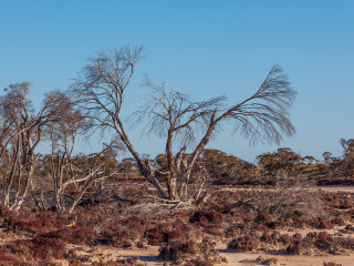 墨累日落国家公园