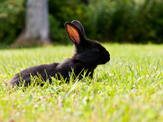 安克雷奇省级公园