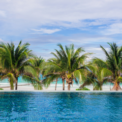 Swimming Pool and Palm trees on seaside in Racha Island,Phuket, Thailand