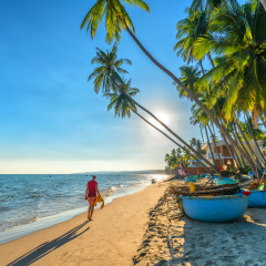 Mui Ne, Vietnam - April 21, 2018: The man alone go to end of tropical beach with coconut palm trees as sun gradually create beautiful setting for weekend guests at paradise beach in Mui Ne, Vietnam