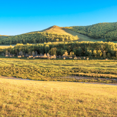 Jingbei Grassland Lovers Valley Autumn Scenery