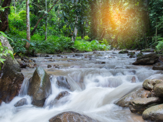 芳台山自然休养林