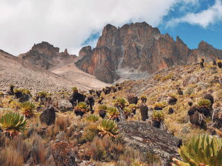 肯尼亚山