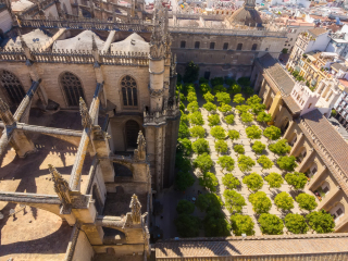 塞维利亚大教堂