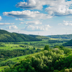 Landscape of Saihanba National Forest Park, which is a national forest park located in Weichang Manchu and Mongol Autonomous County, Chengde, Hebei, China