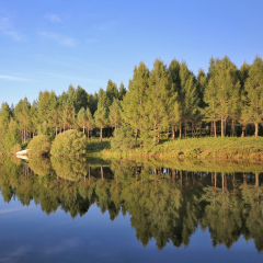 The National Forest Park Of SaiHanBa,Hebei,China,Asia