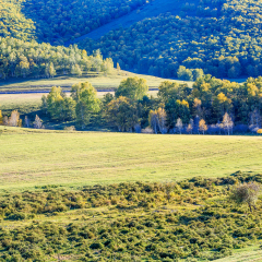 Jingbei Grassland Lovers Valley Autumn Scenery