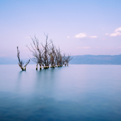 洱海