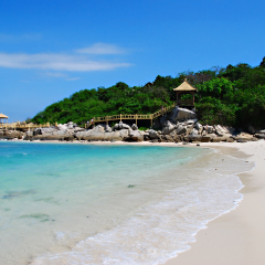 Tropical beach paradise of Wuzhizhou Island near Sanya in Hainan Province, south China.