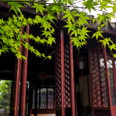 景点模块 
