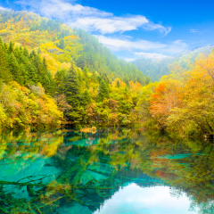 景点模块 