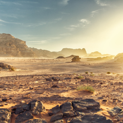 Desert Landscape of Wadi Rum in Jordan, with a sunset, stones, bushes and the sky.