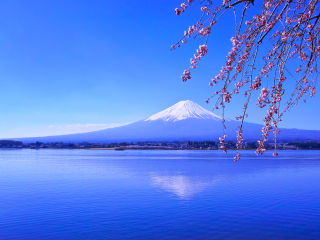 山梨县
