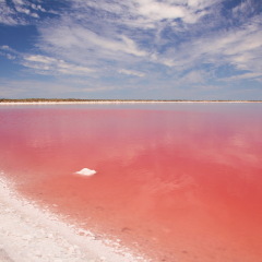 Red lake in Australia