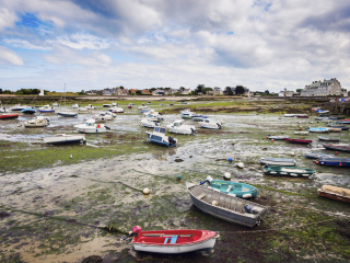巴夫勒尔Barfleur