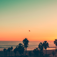 Venice Beach Sunset - LA