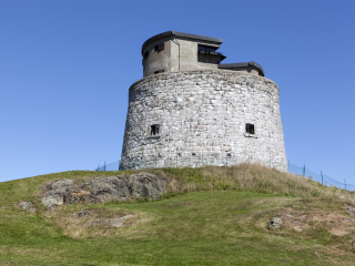 卡尔顿马特罗塔