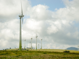 风山风力发电场