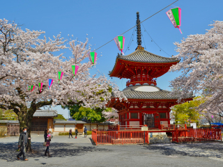 纹藏庵喜多院门前店