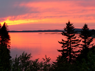 罗斯福坎波贝洛公园