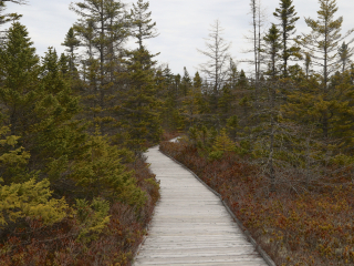 罗斯福坎波贝洛公园