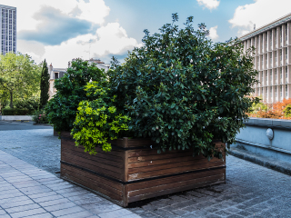 巴黎大西洋公园