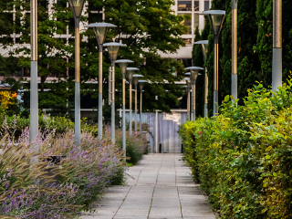 巴黎大西洋公园