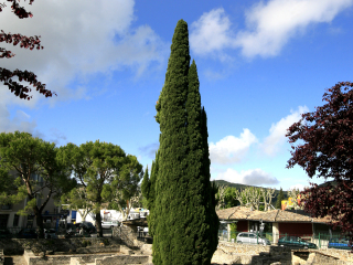 高卢古罗马城市