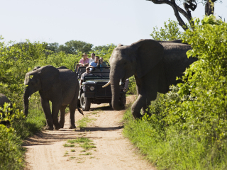 辛吉塔私人动物保护区