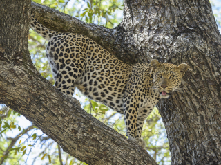辛吉塔私人动物保护区
