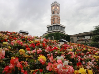 白之恋人博物馆