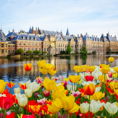 Binnenhof Dutch Parliament , The Hague Den Haag at spring, Netherlands