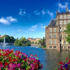 The Hague. Sunny Hague. de hague. Haaga 