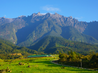 哥打基纳巴鲁