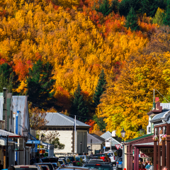 2018 April, 5 - Otago, New Zealand, Arrowtown in autumn with colorful trees.