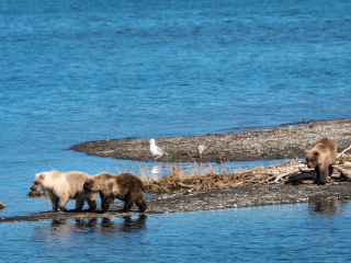 卡特迈国家公园