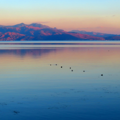   Mother Nature Is a Good Painter                             