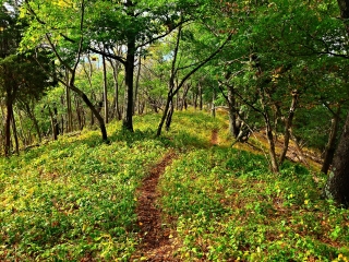 舒格洛夫省级公园