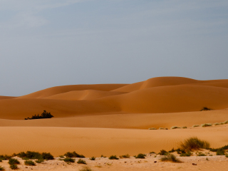 阿尔金岩石礁国家公园