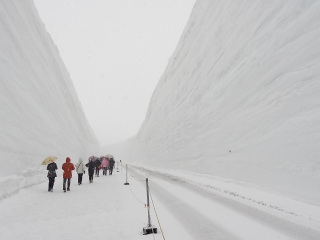 雪之大谷