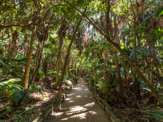 县立青岛亚热带植物园