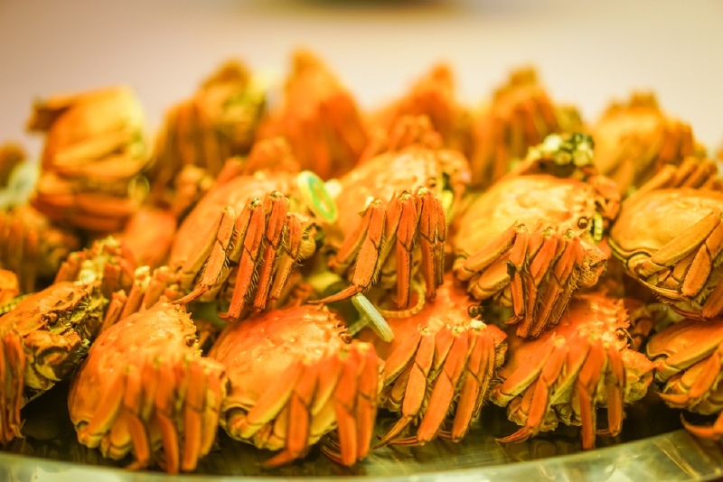 昆山阳澄湖大闸蟹美食攻略